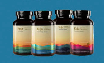 Kuja Healing Mushrooms