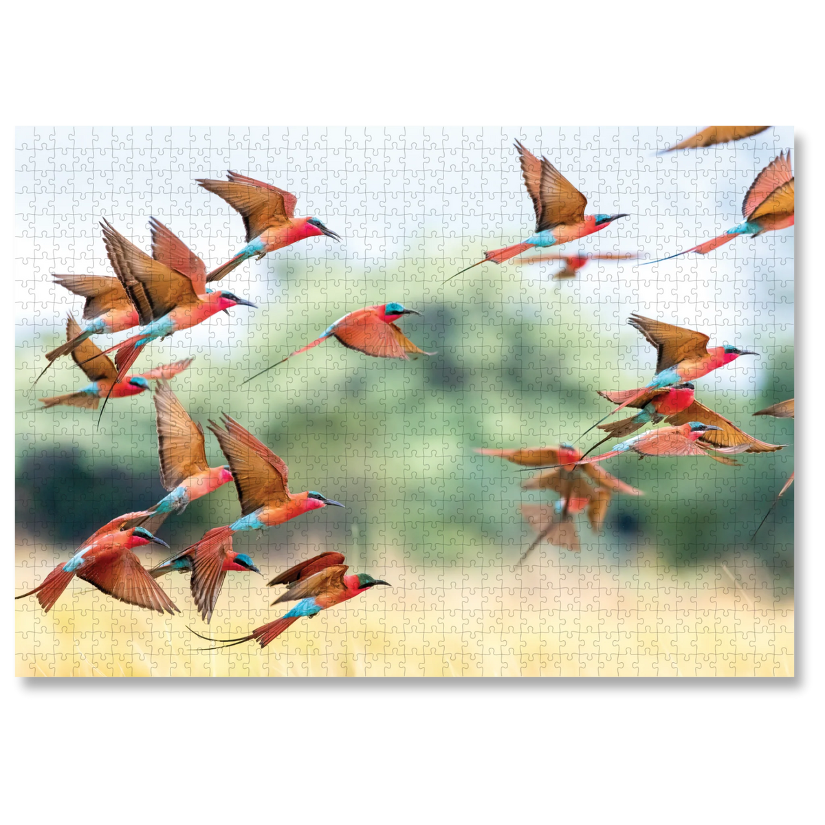 MasterPiece Puzzles: Bee-Eaters In Motion