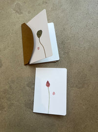 .Cards: Decorated blank greetings cards