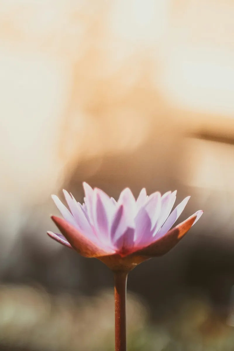 Breathwork